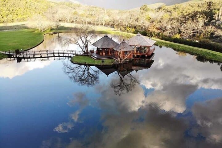 Private Stellenbosch and Franschhoek Wine Tour — Full-Day Guided Tastings from Cape Town photo 1