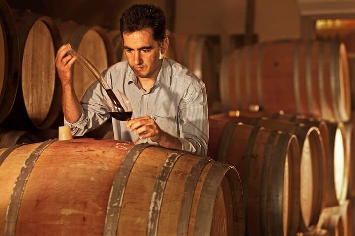 Private Stellenbosch and Franschhoek Wine Tour — Full-Day Guided Tastings from Cape Town photo 3