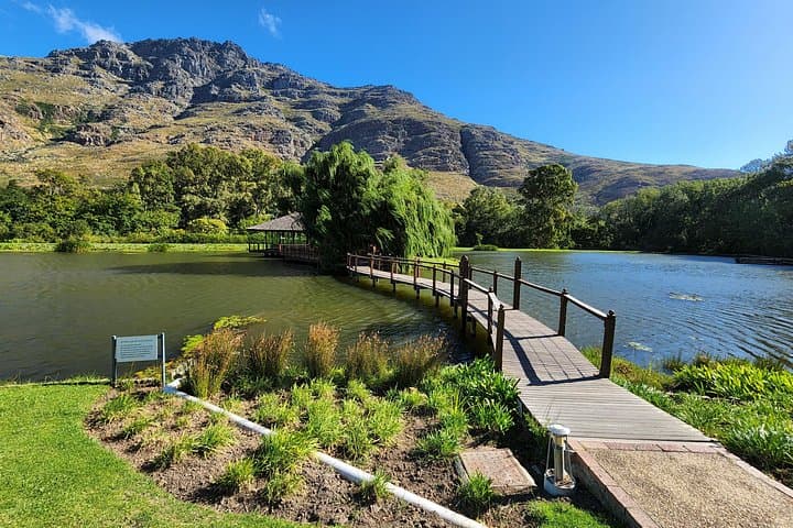Private Stellenbosch and Franschhoek Wine Tour — Full-Day Guided Tastings from Cape Town photo 4