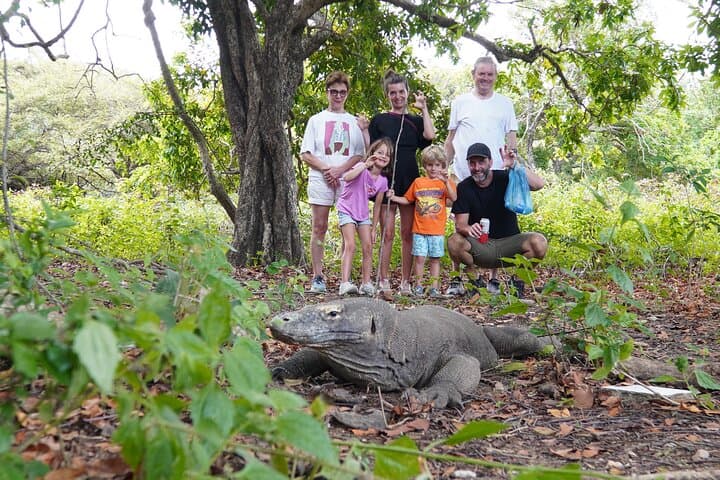 3-Day Komodo Dhow Cruise: Padar Hike, Pink Beach & Manta Snorkel photo 4