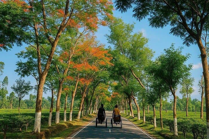 4-Day Srimangal Adventure: Cycling Tea Estates, Lawachara & Baikka Beel