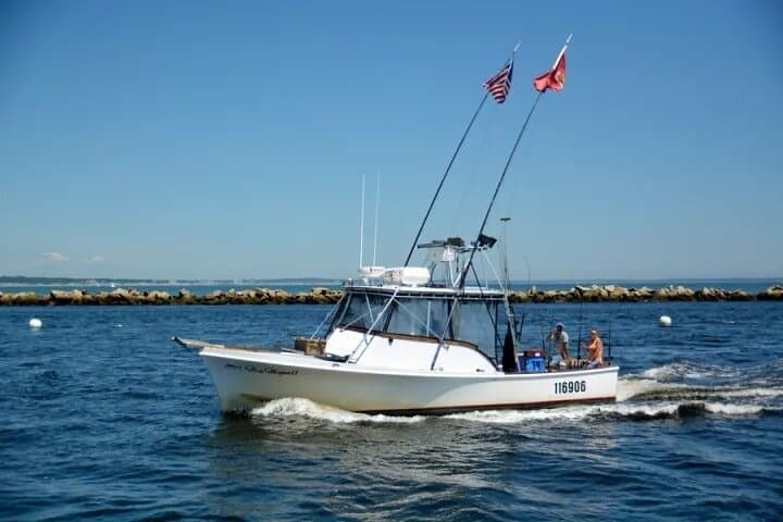Kennebunkport Private Scenic Boat Cruise — Day & Sunset Charters in Saco Bay photo 4