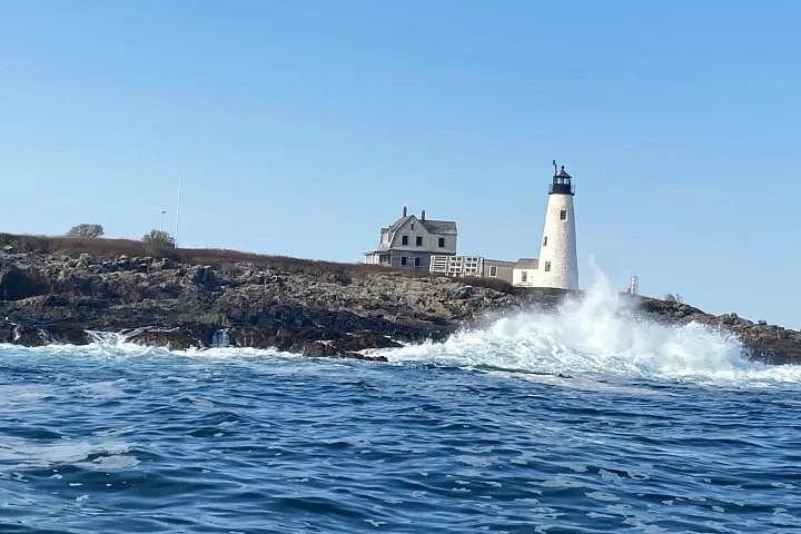 Private Kennebunkport Wildlife Eco Tour aboard the Miss Megan II photo 4