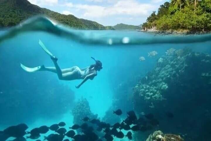 Private Customizable Snorkeling Charter in Key West — Full-Day Reef Adventure
