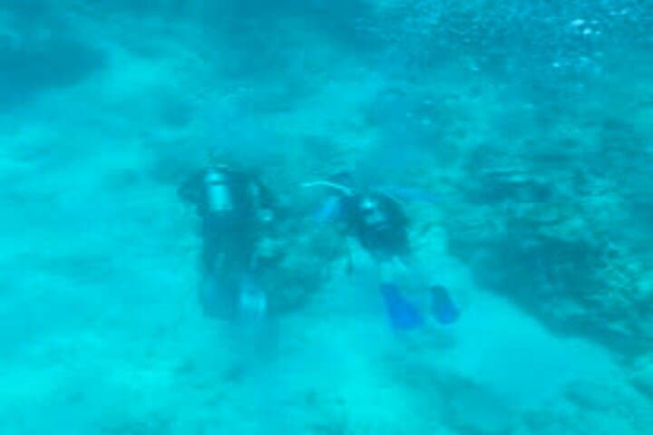 Private Customizable Snorkeling Charter in Key West — Full-Day Reef Adventure photo 5
