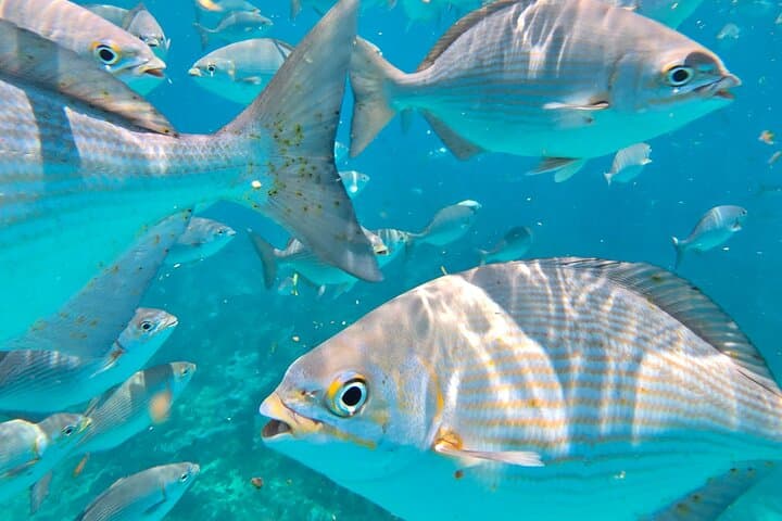 Private Fun Fishing Charter in Key West — Full-Day Guided Fishing Adventure photo 2