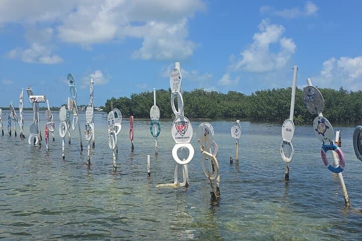 Sandbar Boat Tour in Marathon: Shallow‑Water Snorkel & Keys Views photo 5