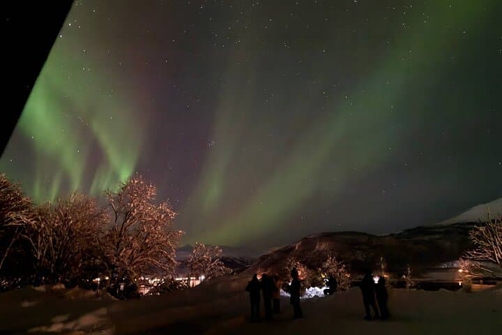 Northern Lights Safari Tromso: Small-Group Aurora Chase photo 5