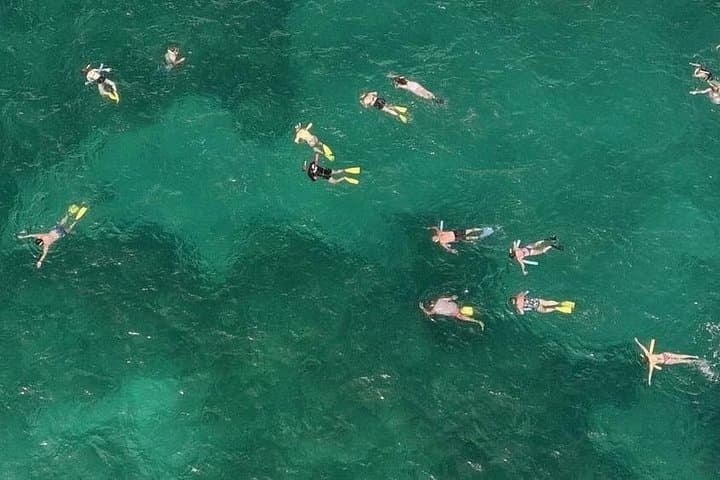 Clear-Water Snorkeling in the Florida Keys: Guided Reef Tours from Key West photo 2