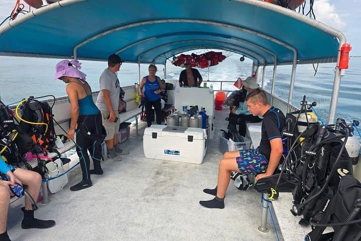 Clear-Water Snorkeling in the Florida Keys: Guided Reef Tours from Key West photo 3