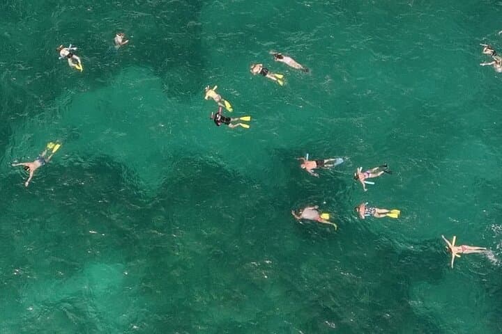 Key West Sandbar Snorkel Combo: Explore Shallow Sandbars & Vibrant Reefs photo 2