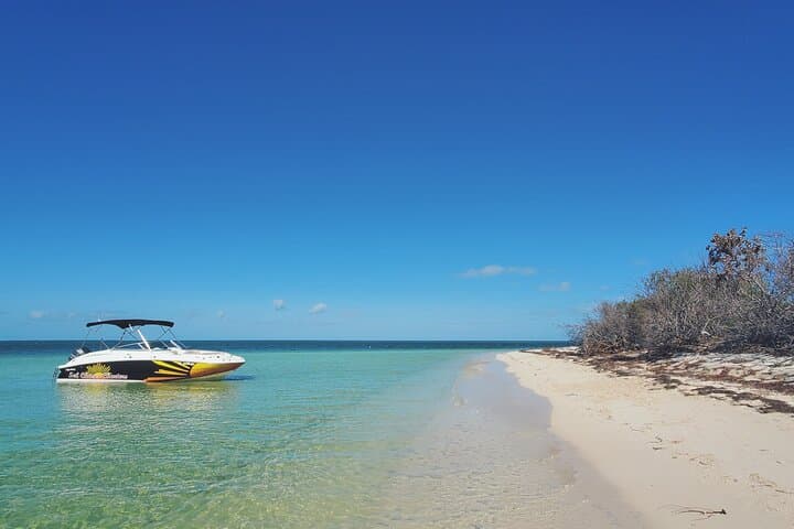 Key West Sandbar Snorkel & Sunset Cruise — Small-Group Charters photo 5