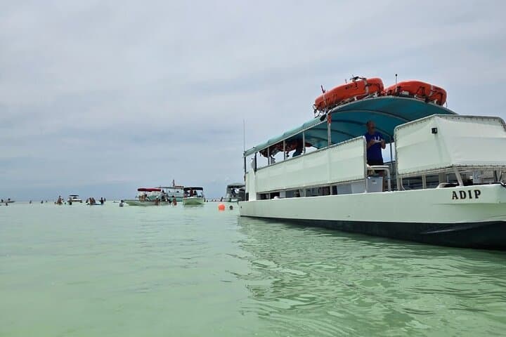 Sandbar Boat Tour in Marathon: Shallow‑Water Snorkel & Keys Views