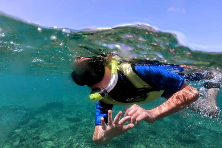 South Poipu Guided Shore Snorkel: Turtle-Spotting & Reef Ecology photo 3