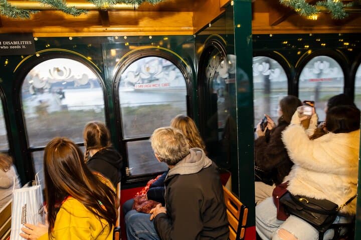 Dyker Heights Christmas Lights Trolley Tour from Manhattan photo 6