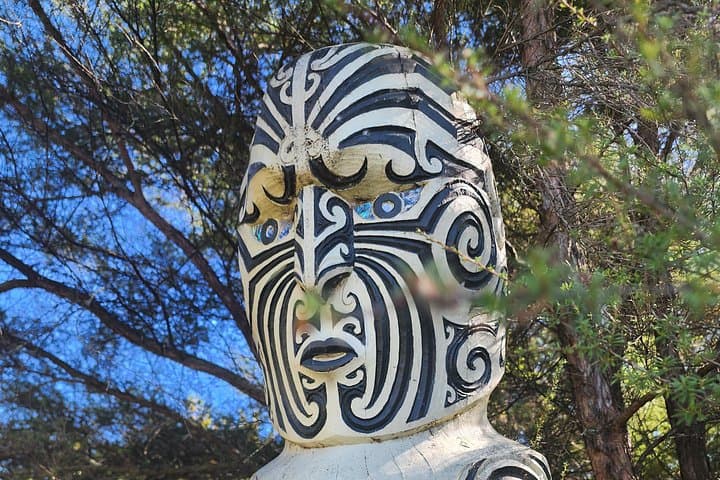 Discover Rotorua Guided Walking Tour: Hidden Geothermal Gems and Maori Stories