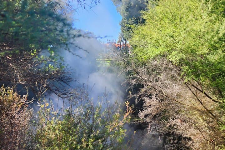 Discover Rotorua Guided Walking Tour: Hidden Geothermal Gems and Maori Stories photo 3