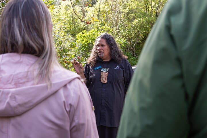 1-Hour Ranger Guided Tour of Pūkaha National Wildlife Centre photo 3