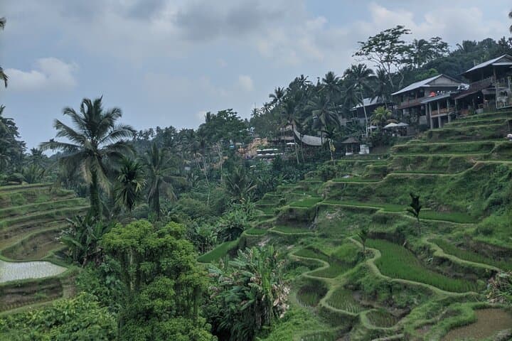 Private Bali Customizable Guided Tour — Full-Day Ubud to Coastal Highlights photo 2