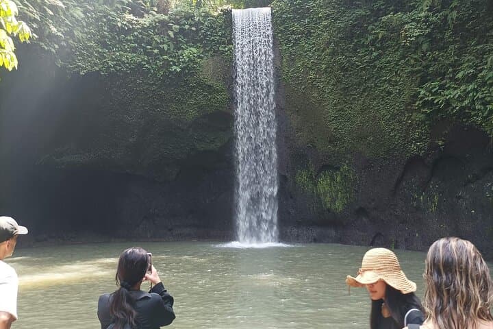 Private Bali Customizable Guided Tour — Full-Day Ubud to Coastal Highlights photo 6