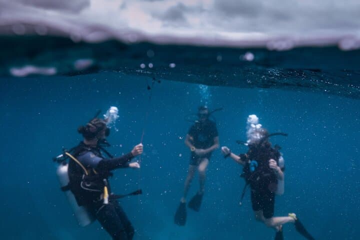 Open Water Diver Course on Koh Tao — SSI Certification in 2.5 Days photo 4