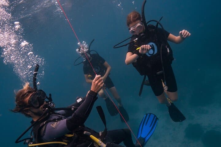 Open Water Diver Course on Koh Tao — SSI Certification in 2.5 Days photo 6