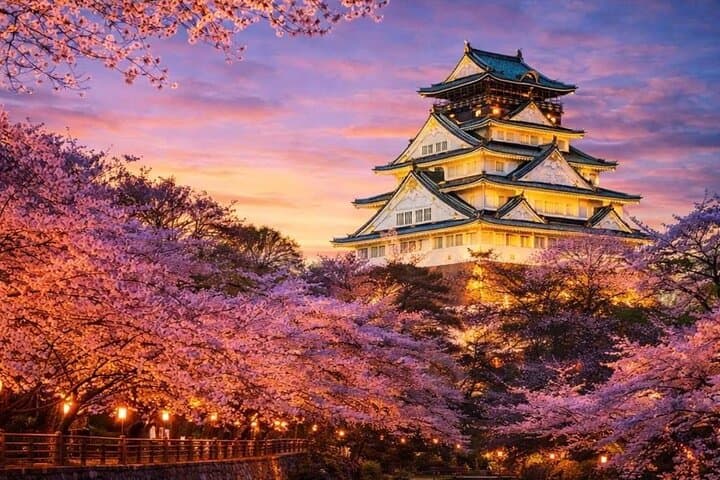 VIP Osaka and Nara One-Day Private Tour: A Practical Guide