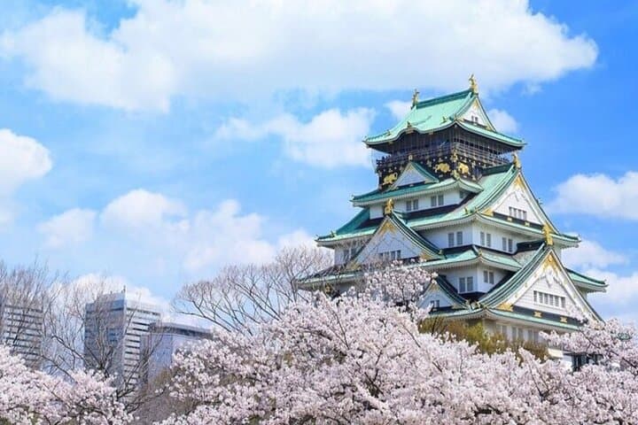 VIP Osaka and Nara One-Day Private Tour: A Practical Guide photo 4