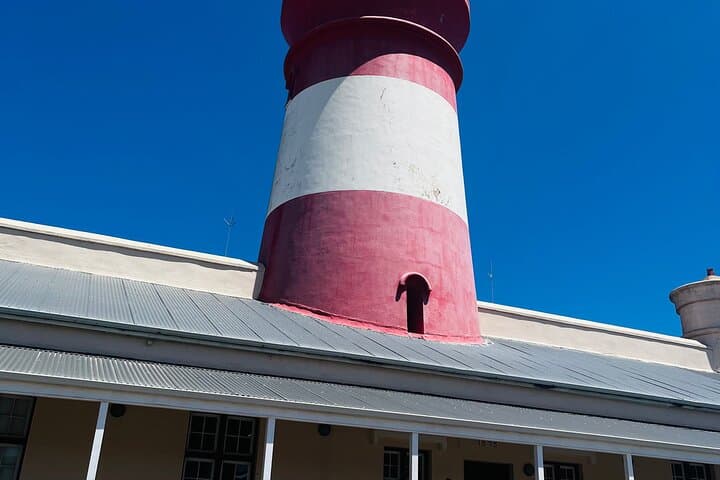 Cape Agulhas and Stony Point Penguin Colony Day Trip from Cape Town