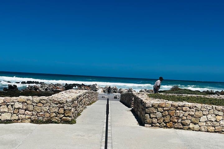 Cape Agulhas and Stony Point Penguin Colony Day Trip from Cape Town photo 3