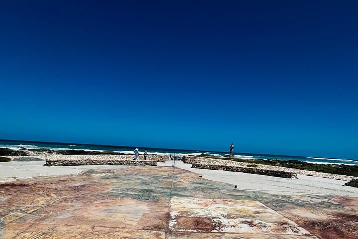 Cape Agulhas and Stony Point Penguin Colony Day Trip from Cape Town photo 4