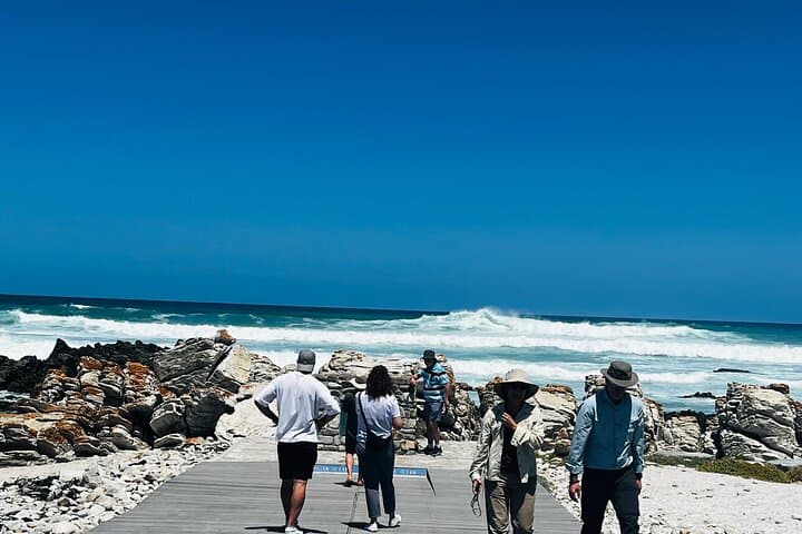 Cape Agulhas and Stony Point Penguin Colony Day Trip from Cape Town photo 6