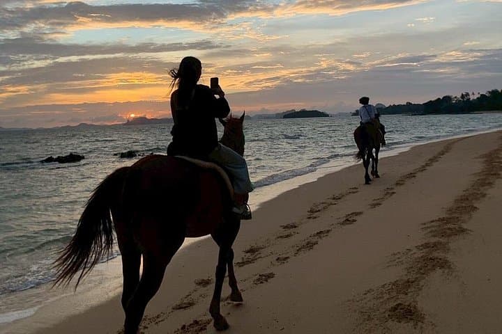 Klong Muang Beach Horseback Ride: Scenic Shoreline & Forest Trail in Krabi photo 6