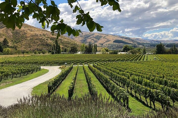 Bannockburn eBike Wine Loop: Self-Guided Day Ride from Cromwell photo 5