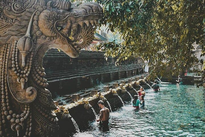 Half-Day Ubud Private Tour: Tegalalang Rice Terrace, Tirta Empul & Tegenungan Waterfall photo 1