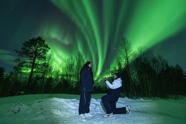 Tromsø Northern Lights Minibus Chase: Small-Group Guided Aurora Tour