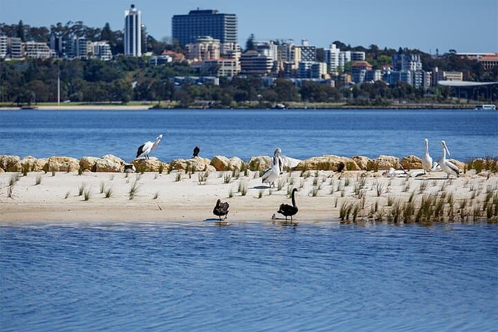 Perth Foreshore & East Perth Guided Bike Loop — Elizabeth Quay to Optus Stadium photo 4