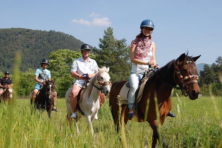 Marmaris Horse Safari in Çamlı Village — Pine Trails & Countryside Views photo 2
