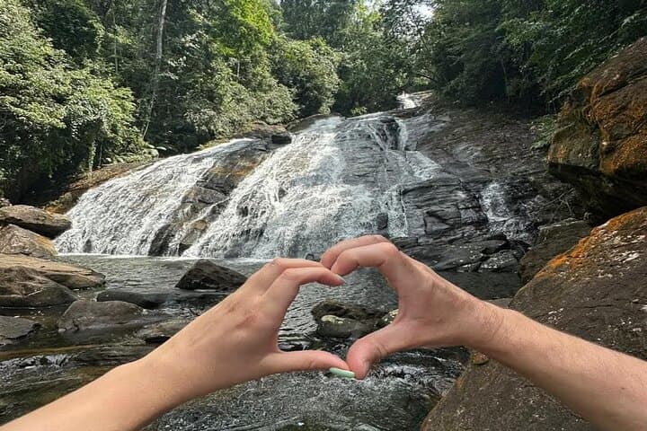 Sinharaja Rain Forest Day Tour: Guided Trek from Mirissa with Tea Estate Visit