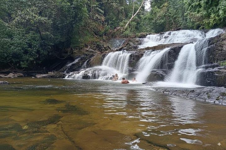 Sinharaja Rain Forest Day Tour: Guided Trek from Mirissa with Tea Estate Visit photo 2
