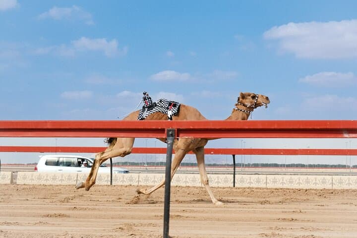 Full-Day Al Ain Tour: Oasis, Forts, Jebel Hafeet & Camel Market from Abu Dhabi photo 4