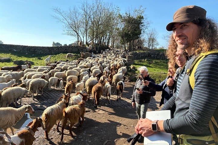 Hike the Ancient Appian Way: 17 km From S. Maria delle Mole to Circus Maximus photo 1