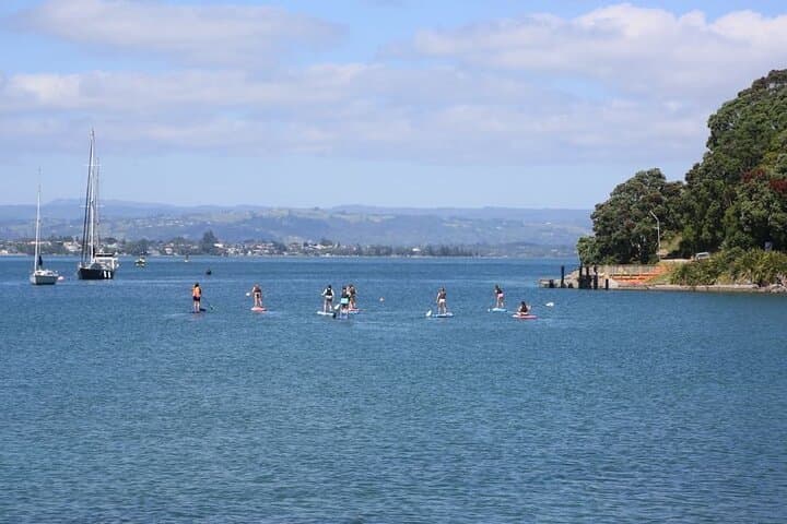 Stand-Up Paddle Board Adventure on Mount Maunganui with Māori Guides photo 4
