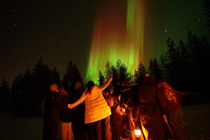 Family-Friendly Snowmobile Adventure in Lapland’s Winter Wilderness photo 4