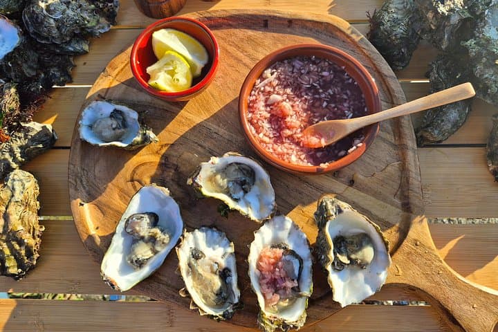 Zeeland Wild Oyster Picking Tour — Oosterschelde Oyster Picking, BBQ & Cava photo 3