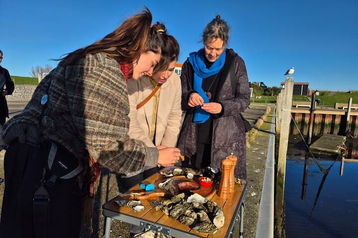 Zeeland Wild Oyster Picking Tour — Oosterschelde Oyster Picking, BBQ & Cava photo 5