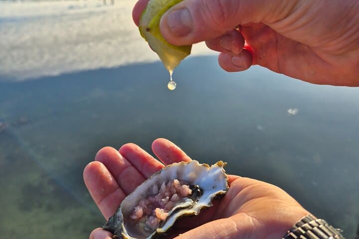 Zeeland Wild Oyster Picking Tour — Oosterschelde Oyster Picking, BBQ & Cava photo 6