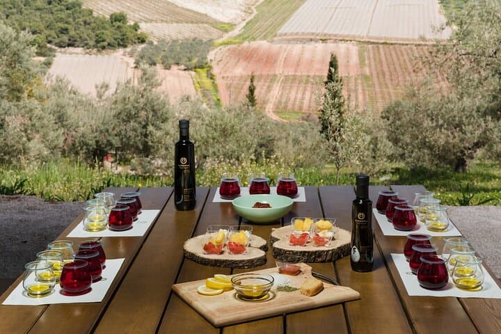Nafplio to Argos: Larissa Castle and Olive Grove Tasting Experience photo 3