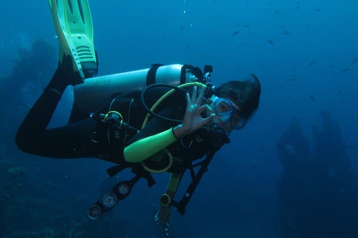 Discover Scuba Diving in Amed and Tulamben — Beginner Day Trip to Coral Reefs photo 1