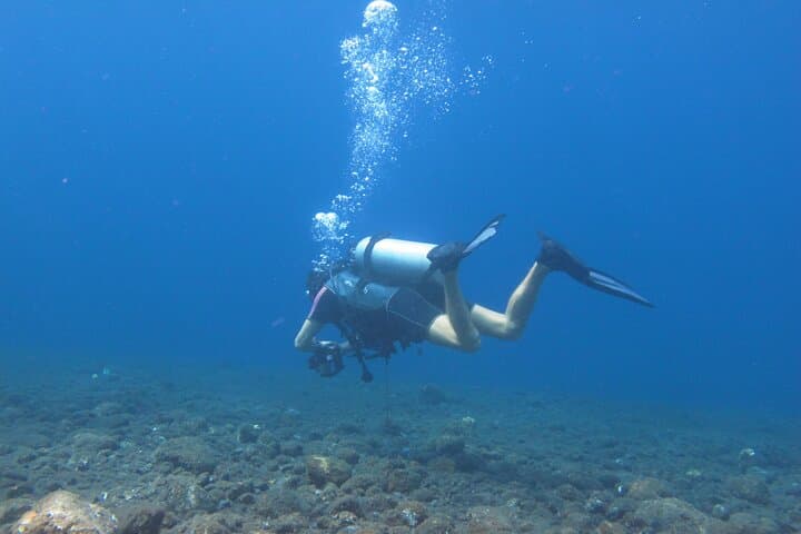 Discover Scuba Diving in Amed and Tulamben — Beginner Day Trip to Coral Reefs photo 2